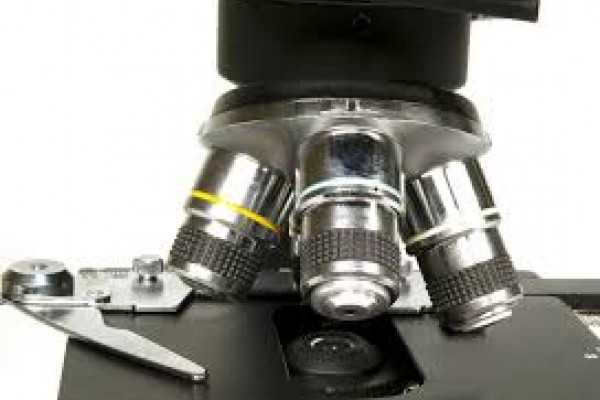 Microscopes For Laboratories
